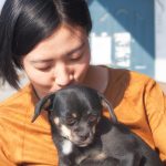 A chinese woman holding and kissing a small calm dog.